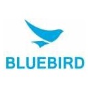 Bluebird